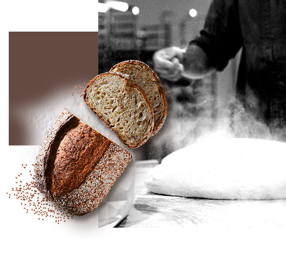 Unser Brot entdecken